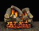 30 Sumerset Blaze Logs With Single Log Switch Pilot Kit Burner Tube Lp