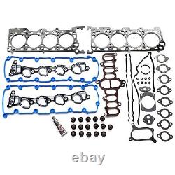 4.6L V8 Engine Head Gasket & Timing Chain Kit For 97-99 Ford E/F-150 Expedition