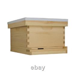 Amish Made Busy Bees'N' More 10 Frame Starter Beehive Kit 1 Deep Box
