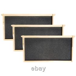 Busy Bees Amish Made 8 Frame Beehive Starter Kit