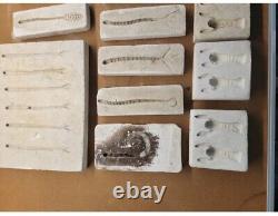 Soft plastic bait mold kit And Crainkbait Kit With Airbrush And Paint Business