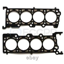 Timing Chain Kit+witho Gears Head Gasket Set For 03-03 Ford E-150 Club Wagon 4.6L